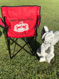Folding Adjustable DST chair with cup holder and carry bag